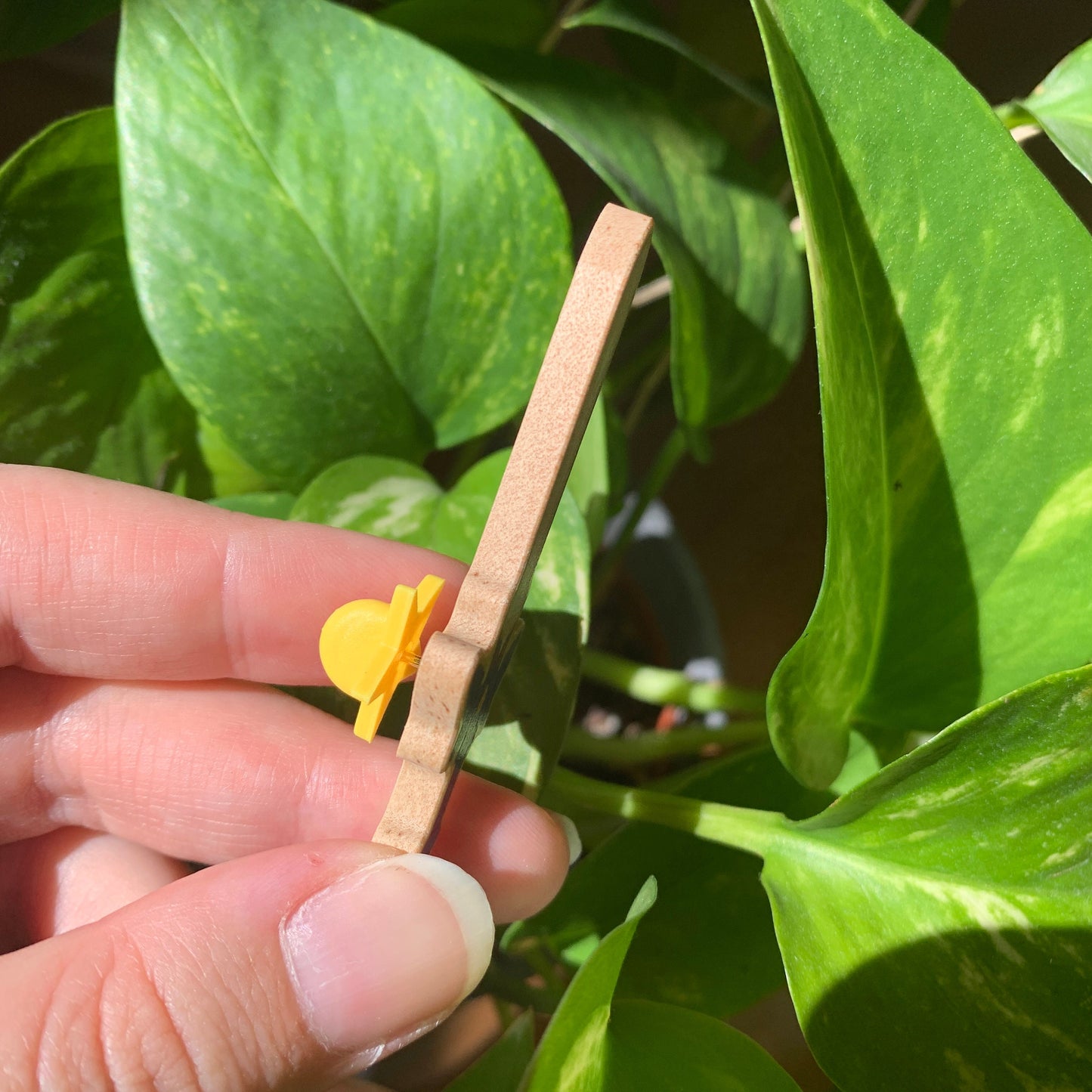 Pin de Madera Zelda Espada | Zelda Master Sword Natural Wooden Pin Badge | ECO Friendly Pine Wood