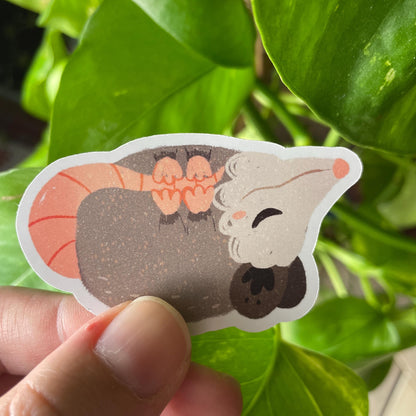 Pack de Pegatinas Zarigüeyas