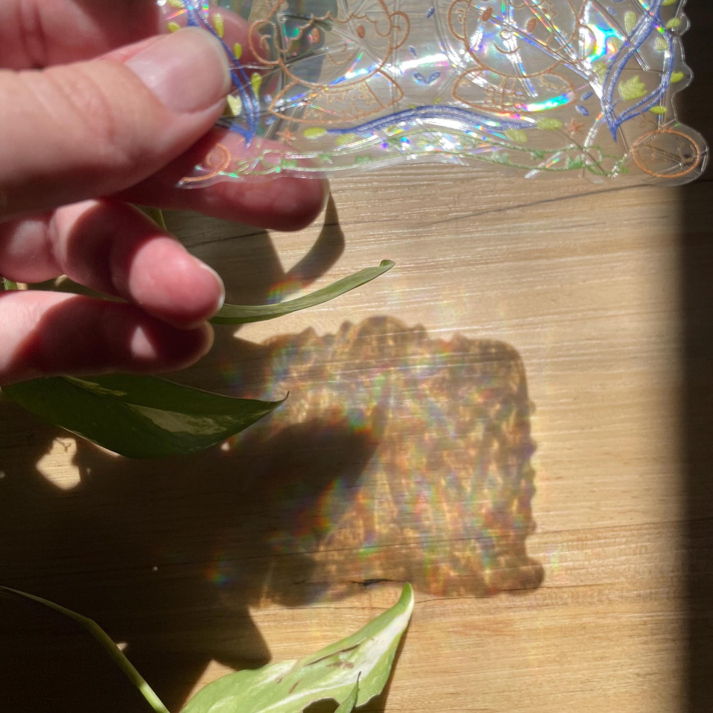 Wirt & Greg Suncatcher, OTGW Pegatina atrapasol reutilizable para ventana