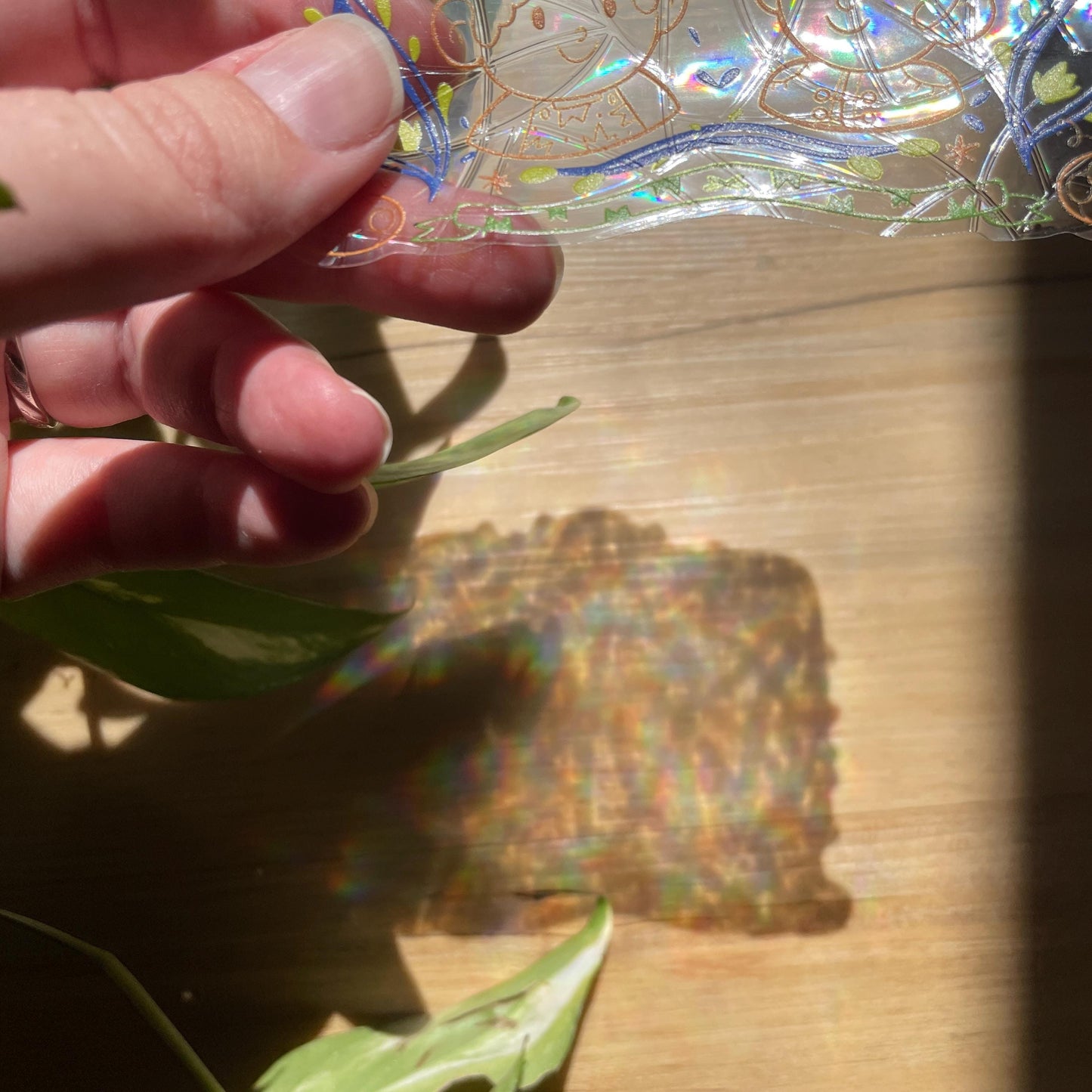 Wirt & Greg Suncatcher, OTGW Pegatina atrapasol reutilizable para ventana