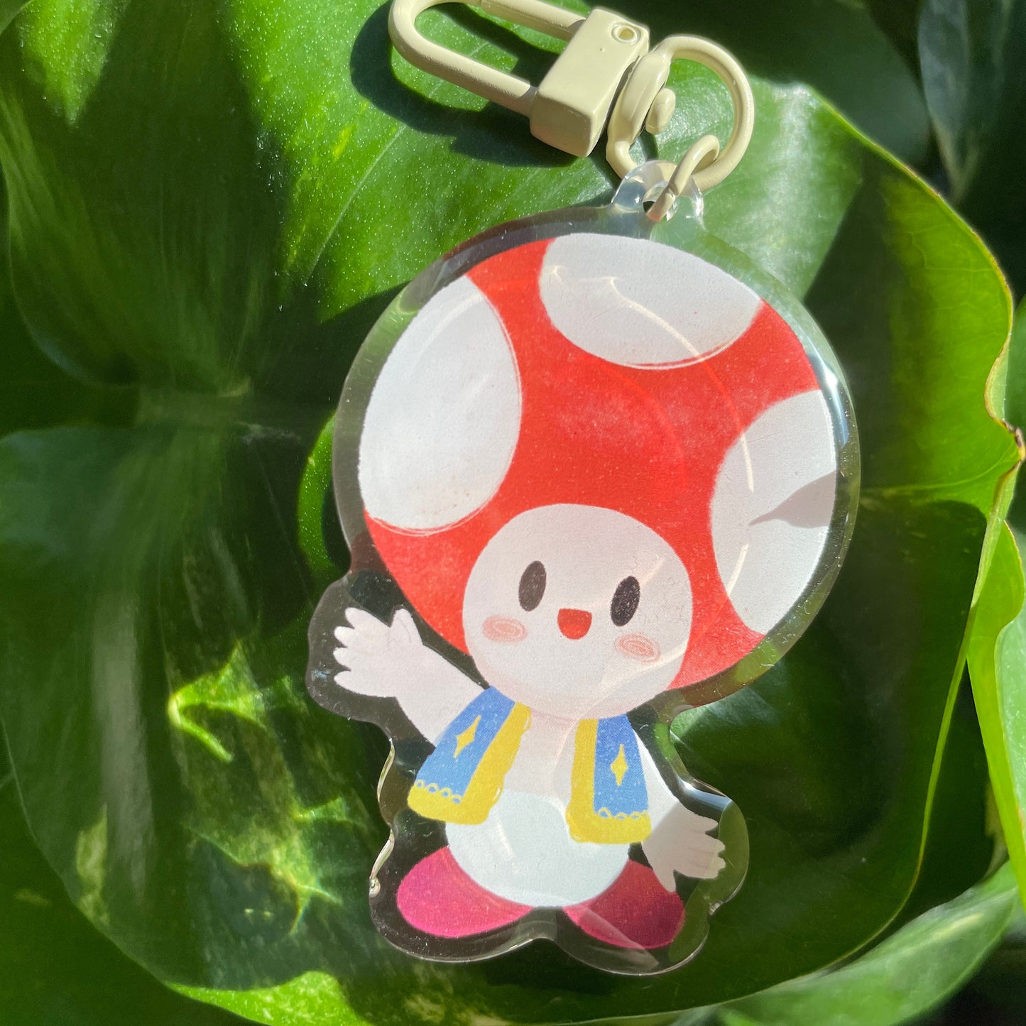 Llavero Toad | Keyring Keychain Acrilico colgante regalo llaves mochila Keychain