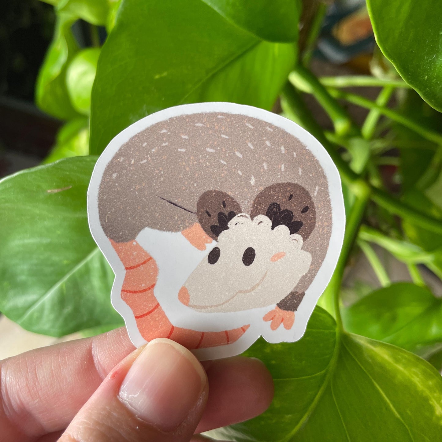 Pack de Pegatinas Zarigüeyas